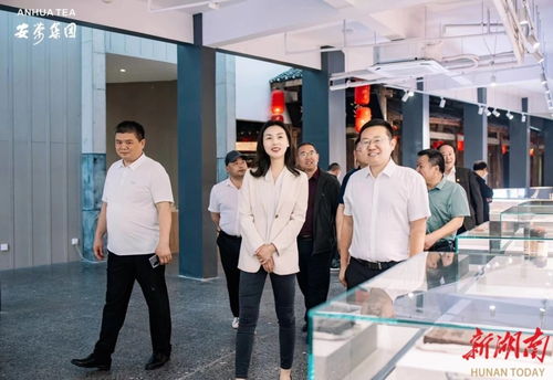 永定區(qū)工商聯(lián)推動(dòng)民企‘走出去，請進(jìn)來’，助力經(jīng)濟(jì)與文化雙騰飛